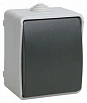 ФОРС IEK